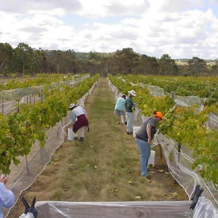 Fergies Hill Spa Cottage @ Granite Ridge Wines Ballandean Exterior foto